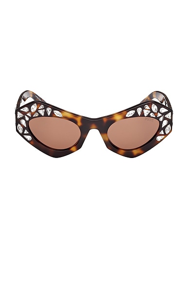 Emilio Pucci Cat Eye Sunglasses in Dark Havana & Brown