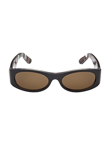 Oval Sunglasses