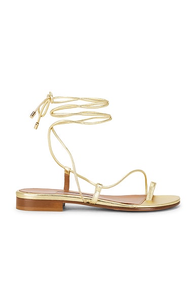 Susan Sandal
