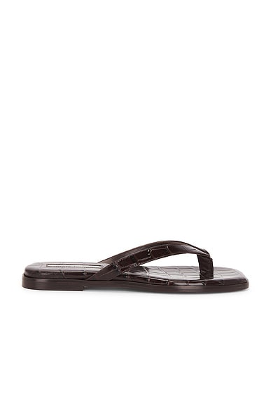Emme Parsons Meta Sandal in Espresso Embossed Croc
