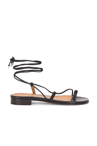 Susan Sandal