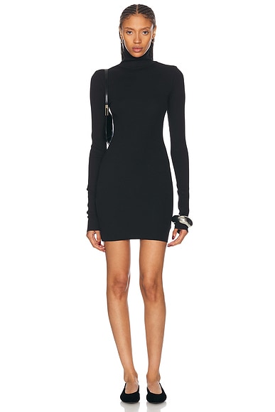 Eterne Long Sleeve Turtleneck Mini Dress in Black