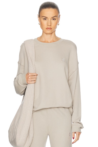 Oversized Crewneck Sweatshirt in Dove