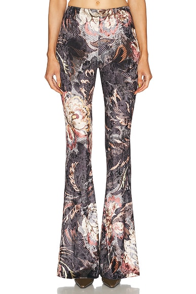 Etro Flare Pant in Print On Grey Base