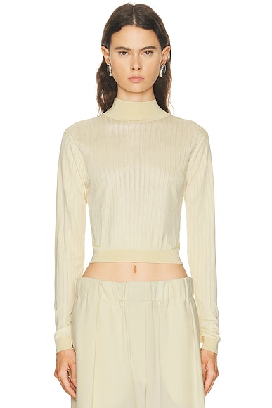 Crop Fitted Turtleneck