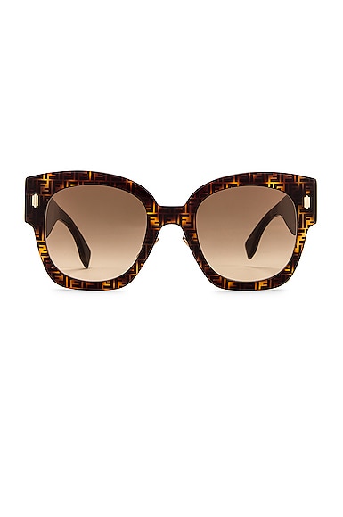 Acetate Sunglasses