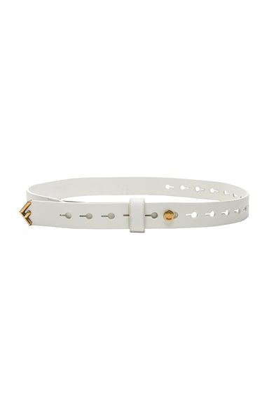 Medium Belt