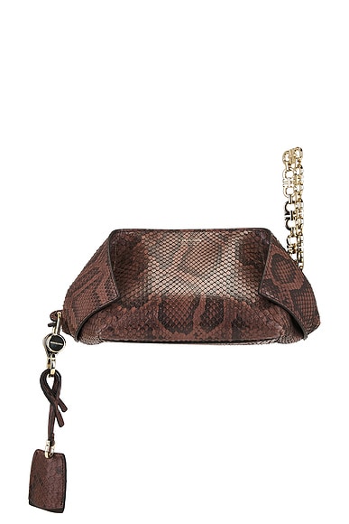 Ferragamo Pouch in Testa Di Moro
