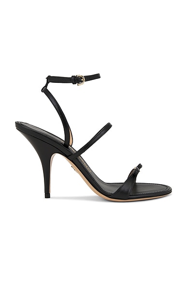 Ariel Sandal