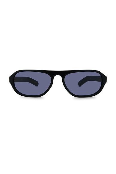 Penn Sunglasses