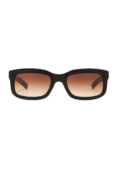 Palmer Sunglasses