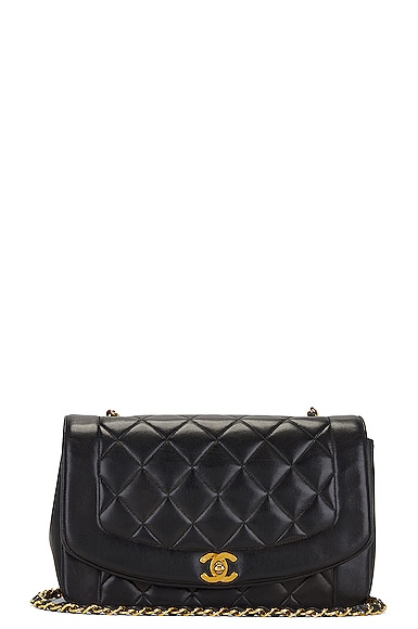 Chanel Lambskin Vintage Diana Flap Bag