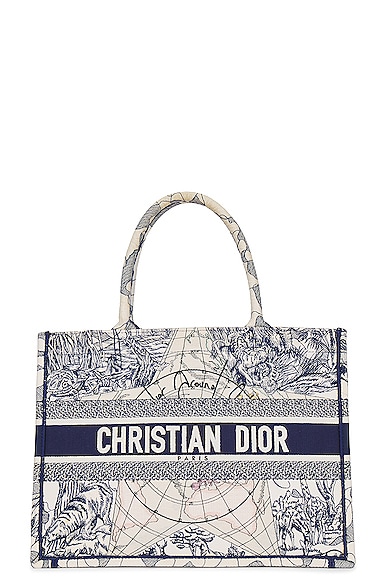 Dior Book Tote Bag In Blue
