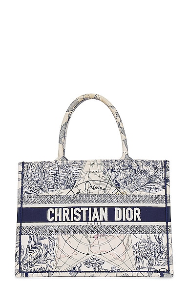 Dior Around The World Book Tote Bag