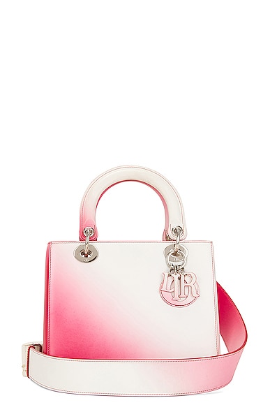 FWRD Renew Dior Lady Handbag in Red Ombre