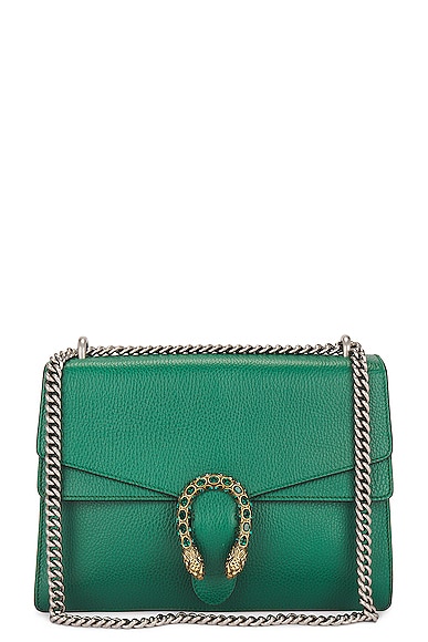 FWRD Renew Gucci Dionysus Chain Shoulder Bag in Green
