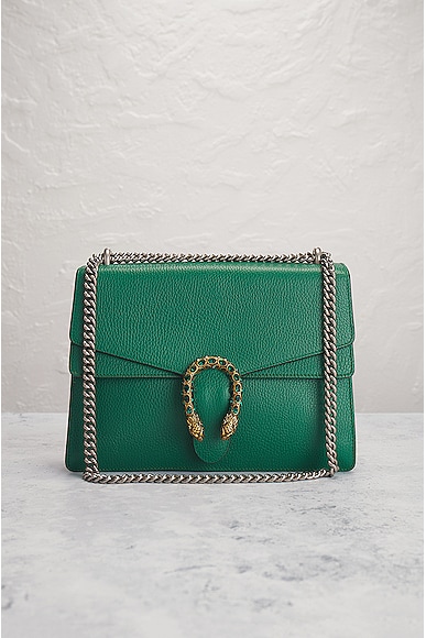 Shop Gucci Dionysus Chain Shoulder Bag In Green
