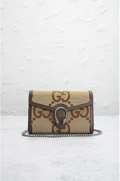 Shop Gucci Gg Dionysus Chain Shoulder Bag In Brown