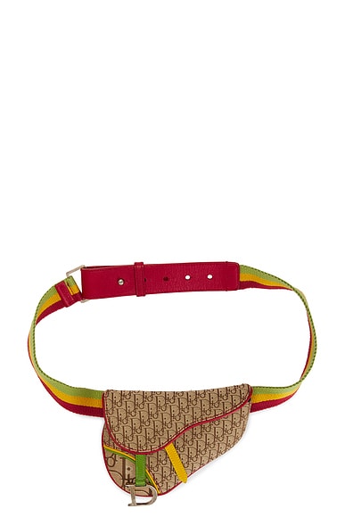 Dior Rasta Trotter Saddle Waist Bag