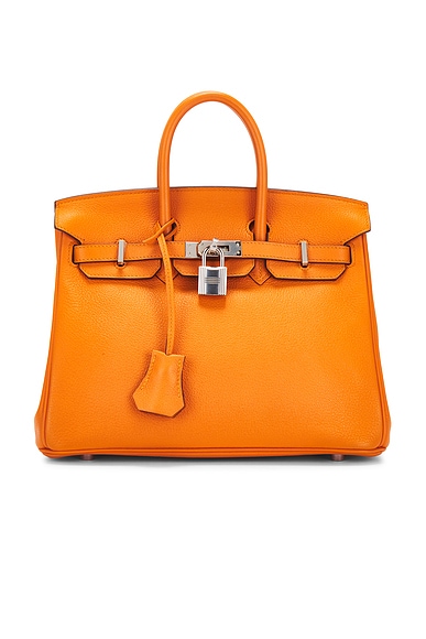 Hermes Novillo Birkin 25 Handbag