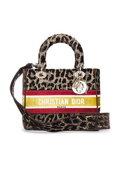 Dior Leopard Lady D-Lite Handbag