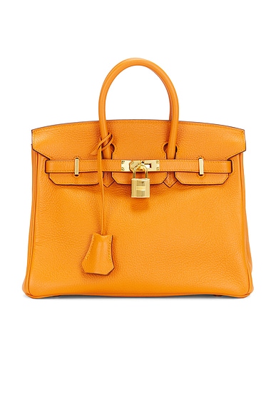 Hermes Togo Birkin 25 Handbag
