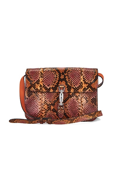 FWRD Renew Gucci Python Soft Jackie Crossbody Bag in Multi