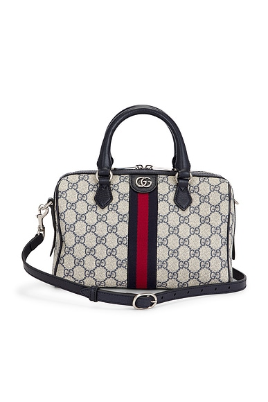 Gucci Ophidia Handbag