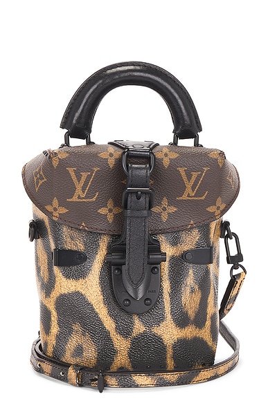 FWRD Renew Louis Vuitton Monogram Wild Animal Camera Box in Brown