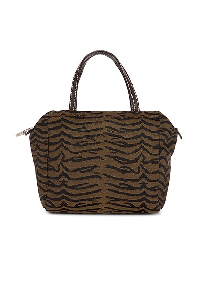 FWRD Renew Fendi Zebra Handbag in Brown