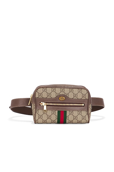 FWRD Renew Gucci Ophidia Belt Bag in Beige