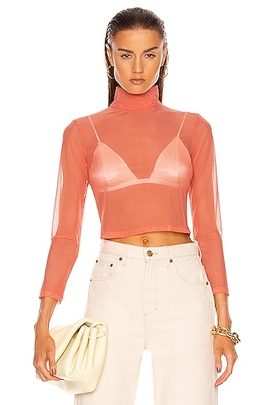 Fe Noel Mesh Crop Top in Peach
