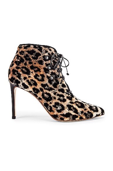 Velvet Leopard Booties