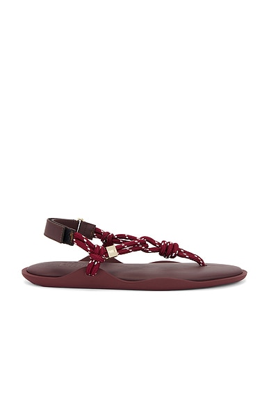 Flo Monocolor Sandal