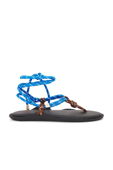 Flòwze Flo Twin Sandal in Blue & Brown