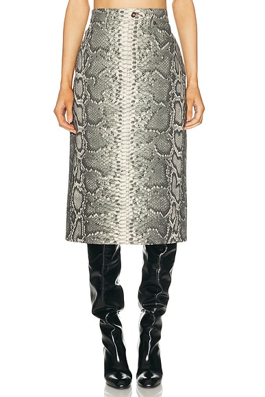 Gabriela Hearst Adalaide Skirt in Greyscale