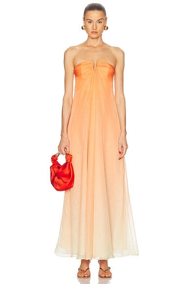 Janelle Gown in Ombre