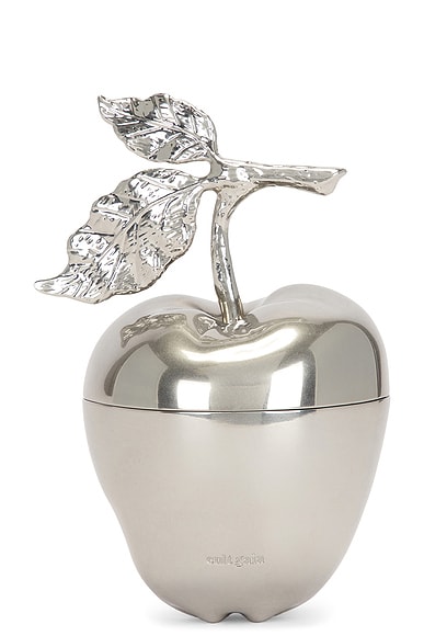 Cult Gaia Mela Clutch in Antique Silver