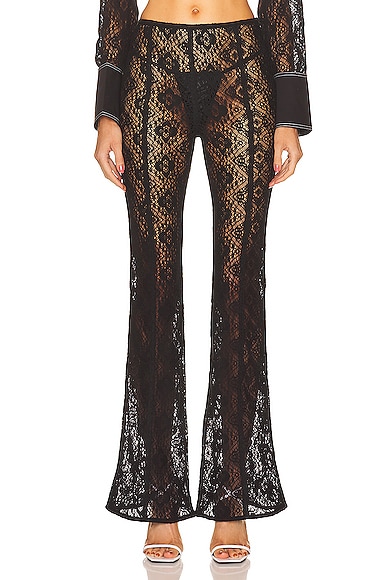 Cotton Lace Flared Pant