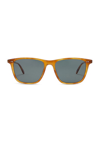 Hayes Sun Sunglasses in Brown
