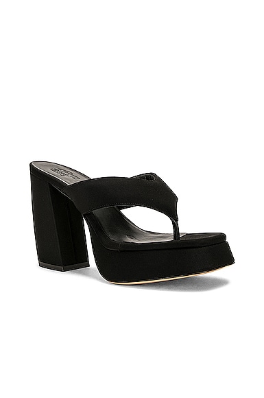 Shop Gia Borghini Neoprene Thong Sandal In Black