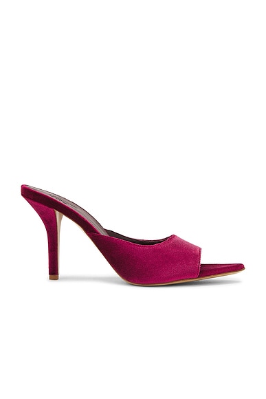 Perni Mule