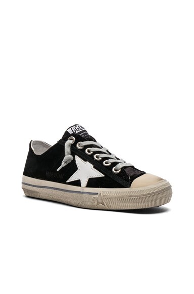 golden goose