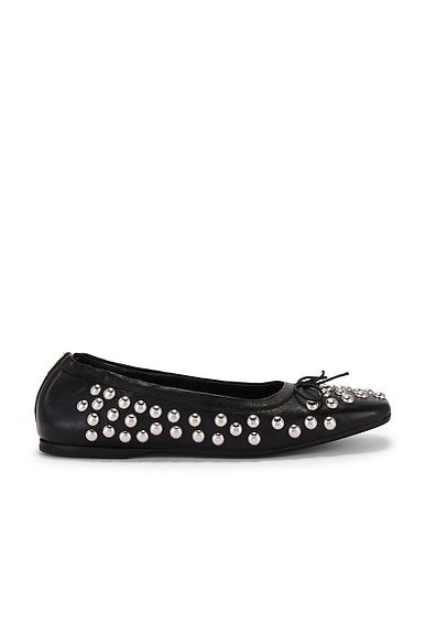 Amy Flat