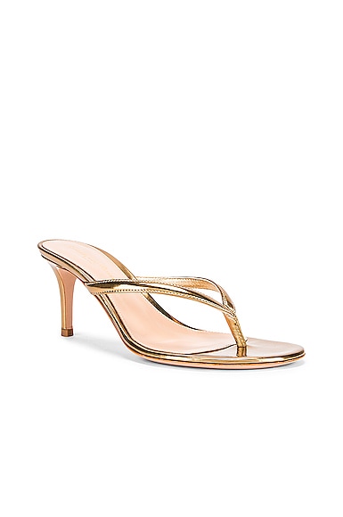Shop Gianvito Rossi Thong Sandals In Mekong