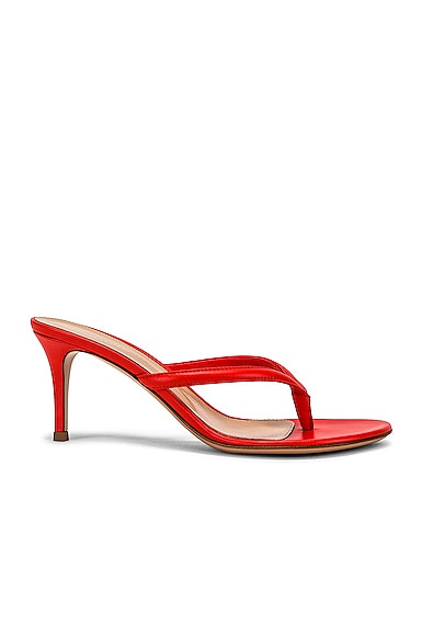 Gianvito Rossi Calypso Thong Sandals in Red