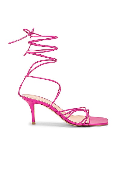 Gianvito Rossi Sylvie 70 Sandal In Pink