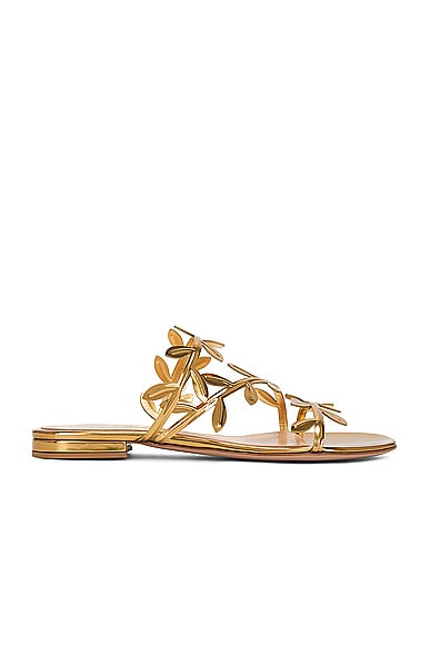 Metal Sandals in Metallic Gold
