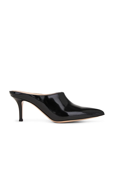 Gianvito Rossi Nuit Mule in Black