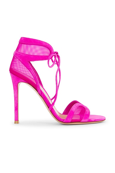 Gianvito Rossi Tie Sandal in Bloom